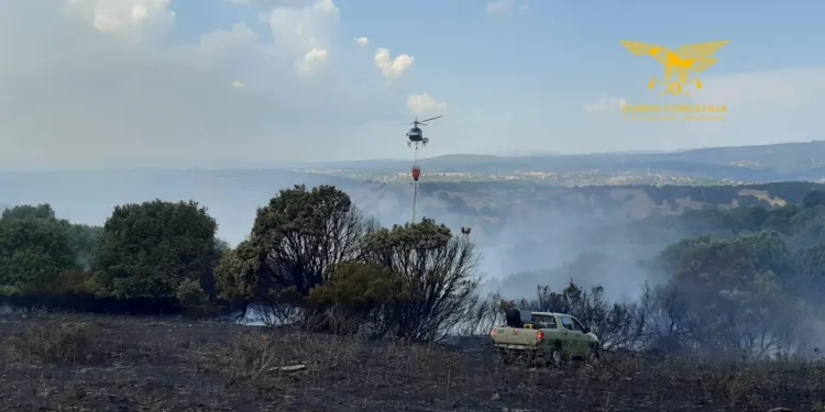 Bitti: incendio in località “Saraloi”