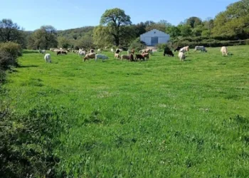 Un milione di euro per rilanciare Foresta Burgos, ecco la proposta di Peppino Canu (Sinistra Futura)