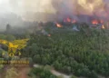Incendio nelle campagne di Arzana