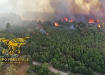 Incendio nelle campagne di Arzana