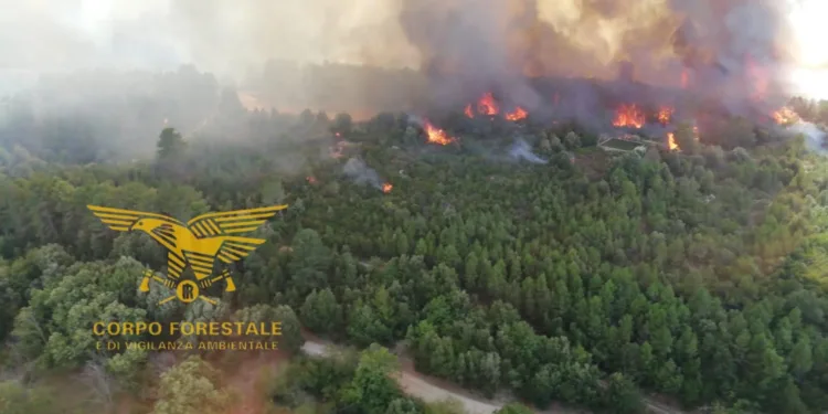 Incendio nelle campagne di Arzana