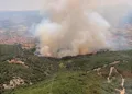 Incendi a Bottidda e Teti