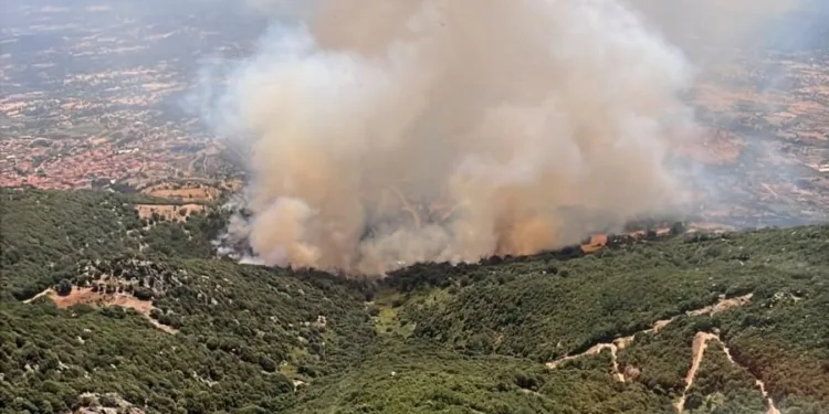 Incendi a Bottidda e Teti