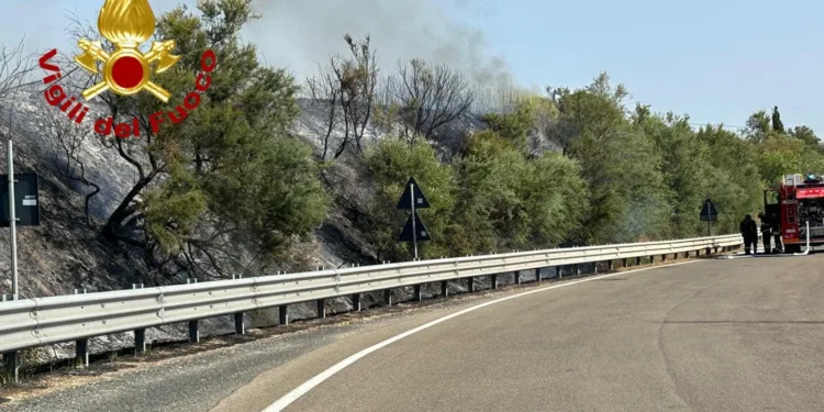 Ploaghe: incendio in località Coloru