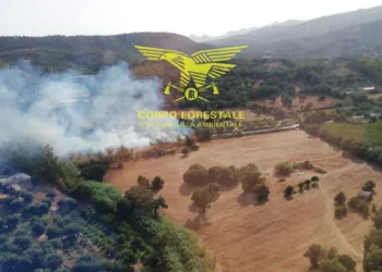 Incendi a Barisardo e Capoterra