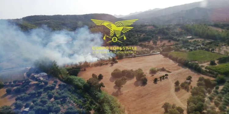 Incendi a Barisardo e Capoterra