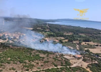 Incendi nelle campagne di Gairo e Portoscuso