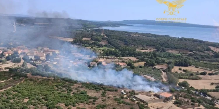 Incendi nelle campagne di Gairo e Portoscuso