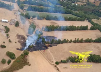 Incendi nelle campagne di Siniscola, Serramanna San Nicolò d’Arcidano