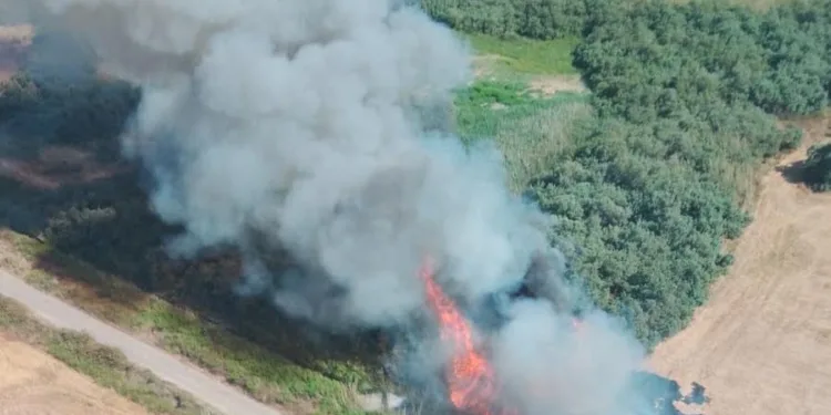 Santa Giusta: incendio in località “S’Ungroni de Mandas”