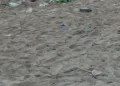 Christian Mulas: «Spiagge di Alghero lasciate nel degrado dopo Ferragosto»