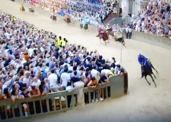 Al Palio di Siena è ancora Sardegna: trionfa la contrada del Nicchio con il solito Tittia di Nurri