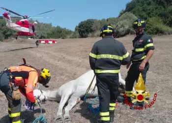Stamane un cavallo è stato recuperato dall’elicottero dei vigili del fuoco ad Ales