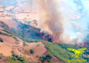 Incendio nelle campagne di Samugheo