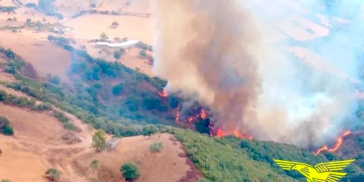 Incendio nelle campagne di Samugheo