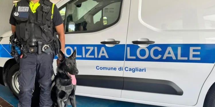 Cagliari: nuovi automezzi e unità cinofile per la Polizia locale