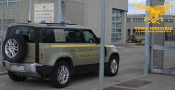 Il Corpo forestale ha arrestato in flagranza un uomo durante un servizio investigativo notturno a Santa Giusta