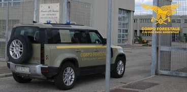 Il Corpo forestale ha arrestato in flagranza un uomo durante un servizio investigativo notturno a Santa Giusta