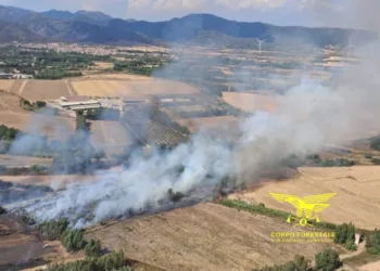 Incendi a Lei, Bortigiadas, Buddusò, Bultei e Villamassargia