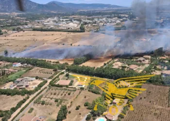 Incendi a Carbonia, San Nicolò d’Arcidano, Serramanna, Desulo, Senorbì, Monserrato e Sant’Andrea Frius