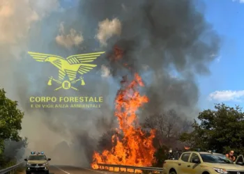 Il Corpo Forestale sta intervenendo con il supporto di due elicotteri su un incendio in agro del comune di Pattada, località Istrrridolzu