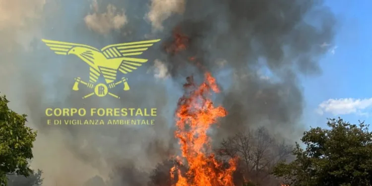 Il Corpo forestale sta intervenendo con il supporto di due elicotteri su un incendio in agro del comune di Pattada, località Istrrridolzu