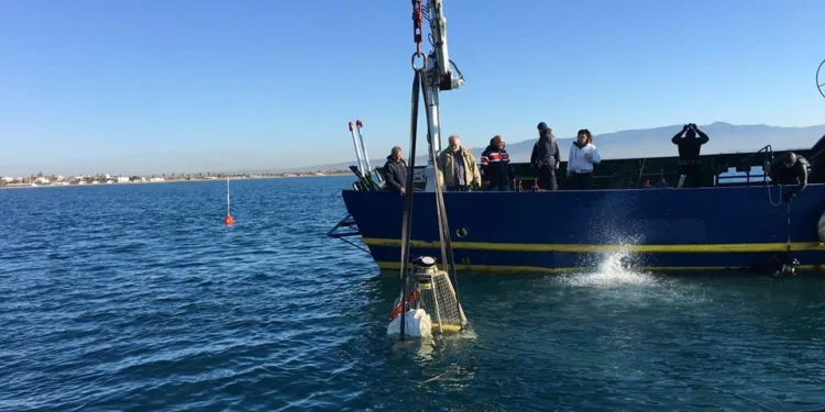 L’attività di ricerca del Medcoast Lab nella prima puntata di “Linea Blu – Porti d’Italia”