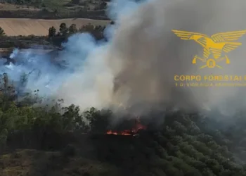 Incendi a Senorbì e Bortigali