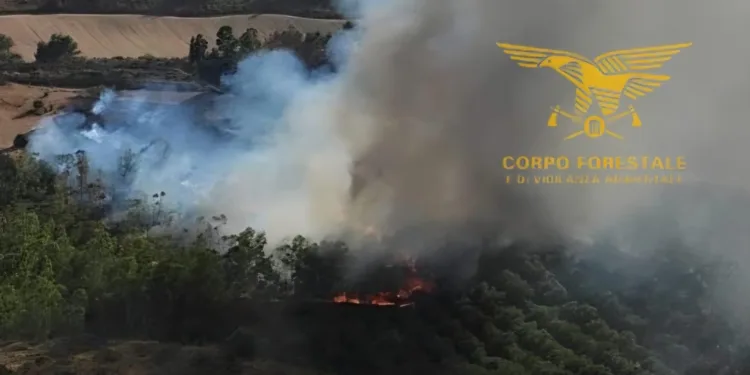 Incendi a Senorbì e Bortigali