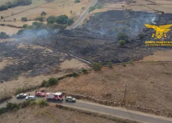 Sagama: incendio in località Nuraghe Funtanedda