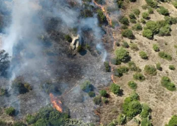 Incendi a San Basilio, Castiadas, Tempio Pausania e Telti
