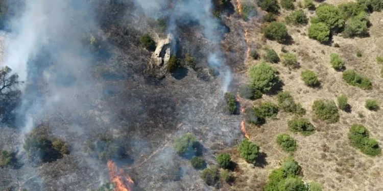 Incendi a San Basilio, Castiadas, Tempio Pausania e Telti