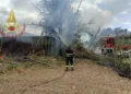 Sestu: a fuoco vegetazione e un canneto