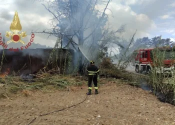 Sestu: a fuoco vegetazione e un canneto