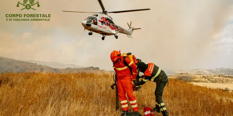Il Gip del Tribunale di Cagliari ha condannato a 4 anni e 8 mesi di reclusione l’autore dell’incendio boschivo doloso sviluppatosi nel maggio 2025 in agro di Pula, nei pressi di Sarroch e della raffineria SARAS