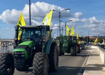 Dermatite bovina in Sardegna: a Olbia la protesta degli allevatori