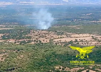 Aidomaggiore: incendio in località Serras