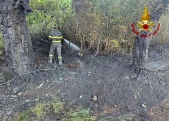 Arzana: sterpaglie a fuoco in località “Funtana ona”