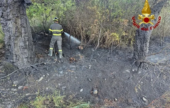 Arzana: sterpaglie a fuoco in località “Funtana ona”