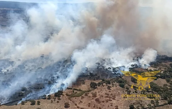 Incendi a Villagrande Strisaili, Sagama, Sindia e Serrenti