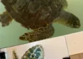 L’arte incontra la scienza. Gli studenti dell’Accademia d’arte di Cagliari al lavoro con ricercatori e studiosi