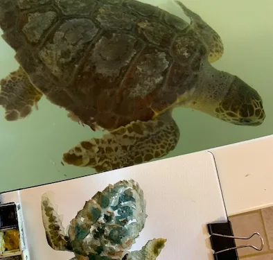 L’arte incontra la scienza. Gli studenti dell’Accademia d’arte di Cagliari al lavoro con ricercatori e studiosi