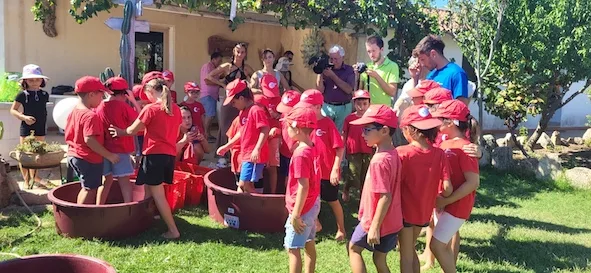 “La vendemmia dei bambini” – Sa Janas – Olbia