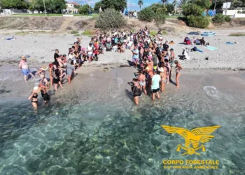 Tortolì: liberata una tartaruga marina Caretta caretta