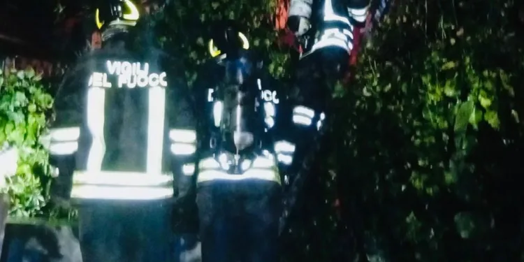 Olbia: a fuoco un magazzino in località San Giovanni