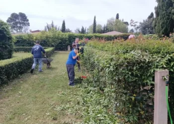 Venerdì a Quartucciu il convegno che mette a confronto politica, istituzioni, mondo della sanità e quello dell’agricoltura