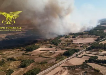 Incendi a Suni, Arbus e Guspini