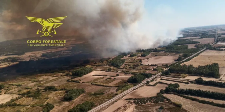 Incendi a Suni, Arbus e Guspini
