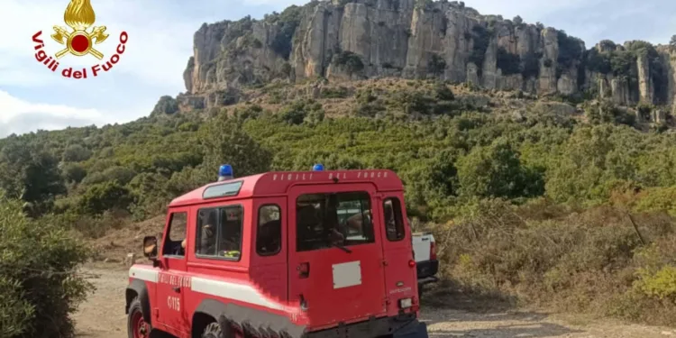 Jerzu: salvate alcune capre in località Sant’Antonio