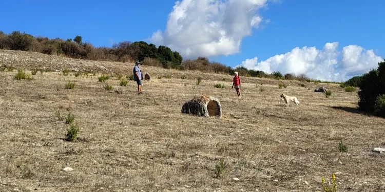 Martis: 150mila euro per la valorizzazione della Foresta Pietrificata di Carrucana